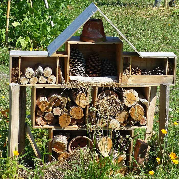 Refugiu pentru insecte instalat în teren în cadrul proiectului Microhabitate pentru viață