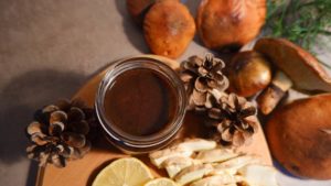 dulceată de Suillus luteus