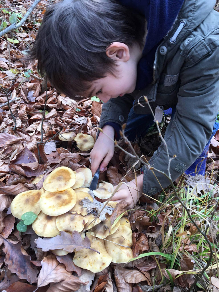 Robert culegând prima ciupercuță