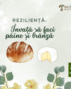25-27 iulie 2025, Reziliență: Învață să faci pâine și brânză, la Pensiunea Dacica, județul Hunedoara