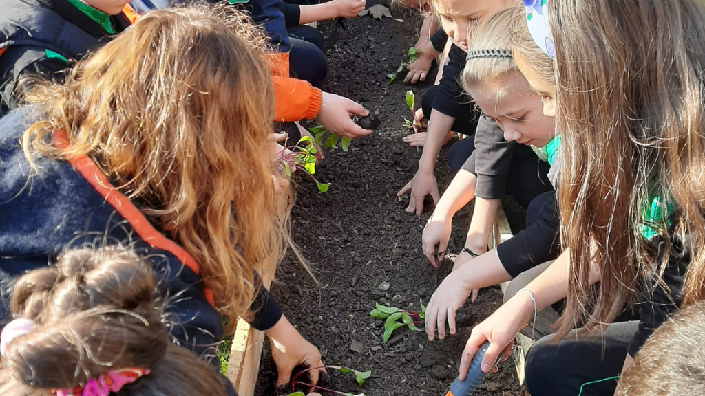 Copii cu mâinile în pământ într-o grădină pedagogică