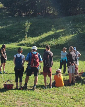 2026-05-08, Cum să mănânci din natură – plante și ciuperci comestibile, Munții Orăștiei, Hunedoara, 8-10 mai