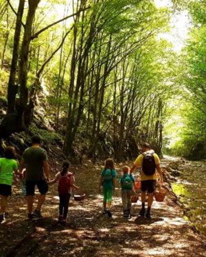 2026-08-28, Reconectarea omului cu natura, Ermitaj Malin, Bistrita 28-30 august