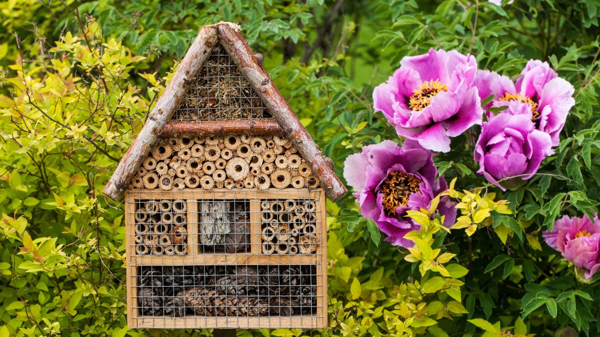 Hotel pentru insecte instalat în spațiu verde