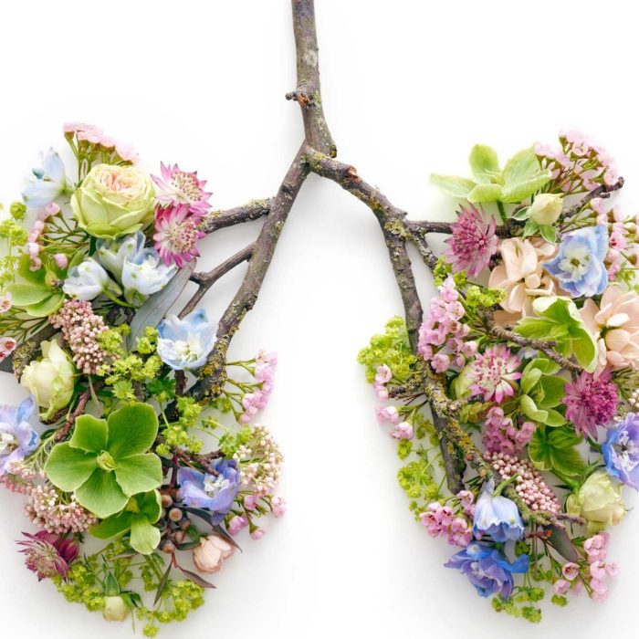 Curs aparatul respirator si plantele medicinale IncrEdible