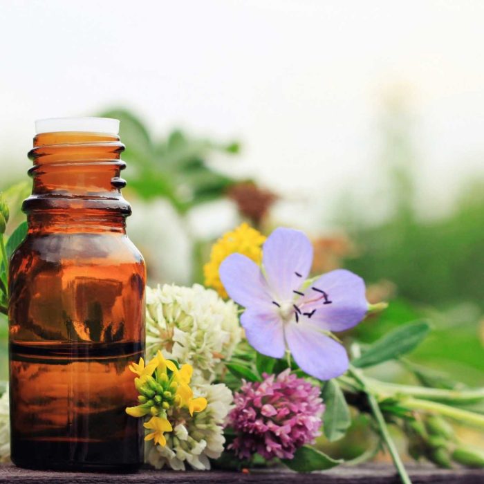 incredible-curs-plante-medicinale-tincturi