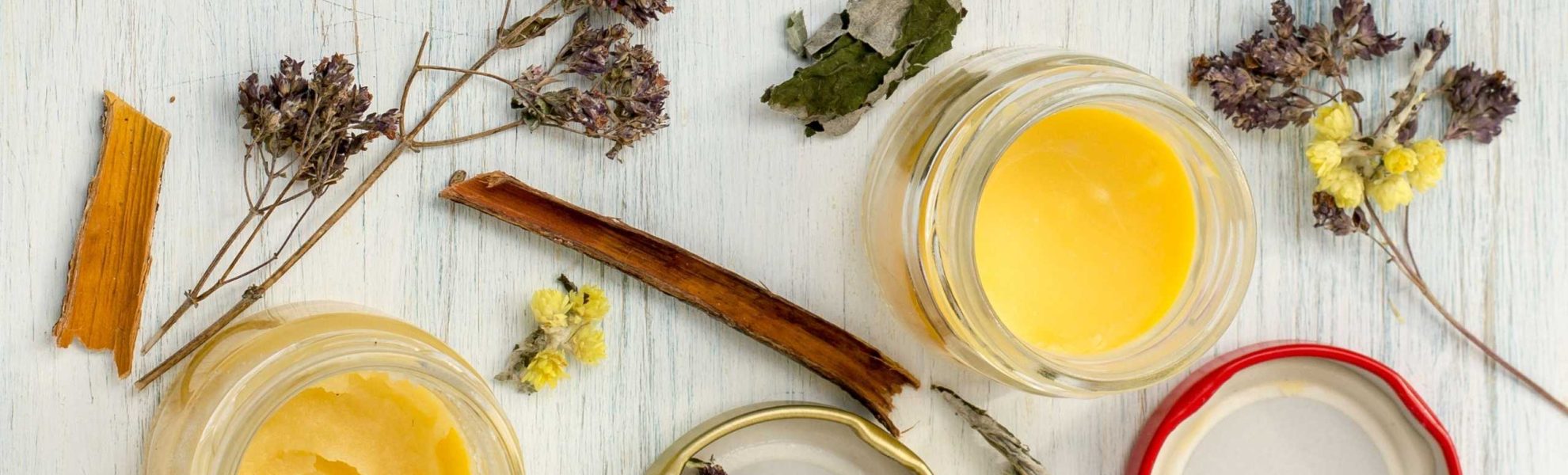IncrEdible Curs de Tincturi din Plante Medicinale