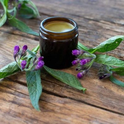 IncrEdible curs de unguente din plante medicinale