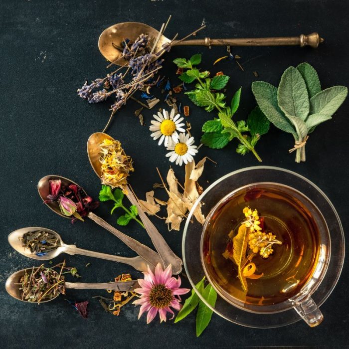 curs-ceaiuri-plante-medicinale-5p