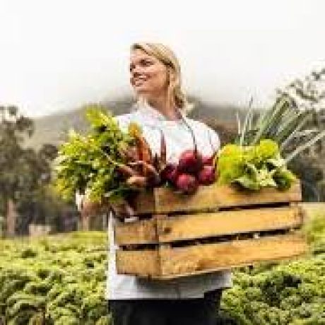 farm to table