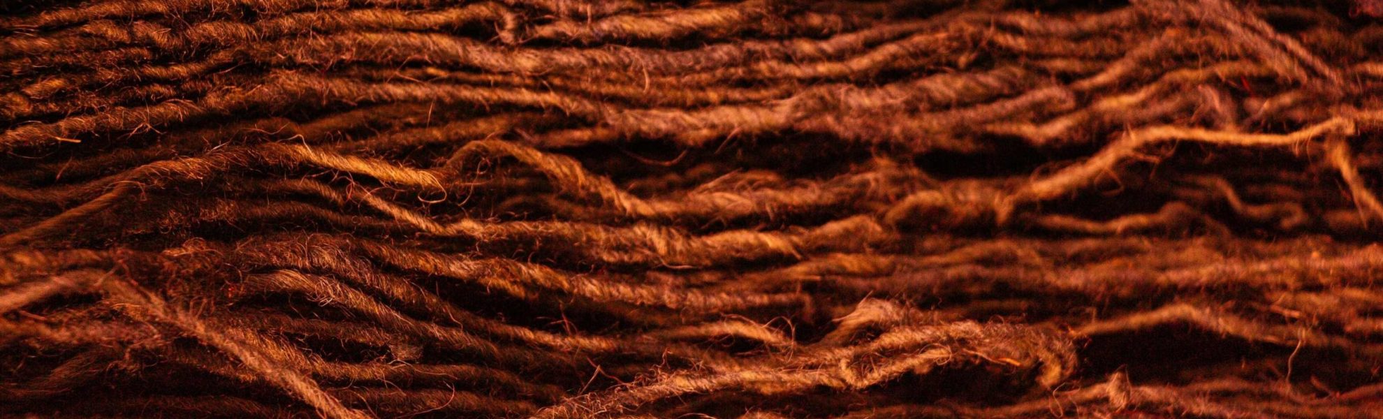 lana vopsita natural cu plante salbatice