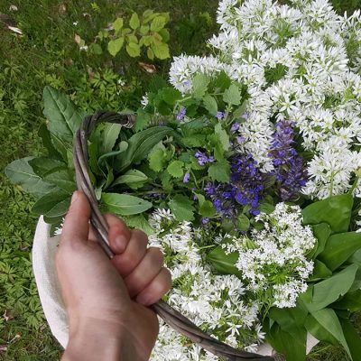 incredible-foraging-primavara-flori-frunze-comestibile